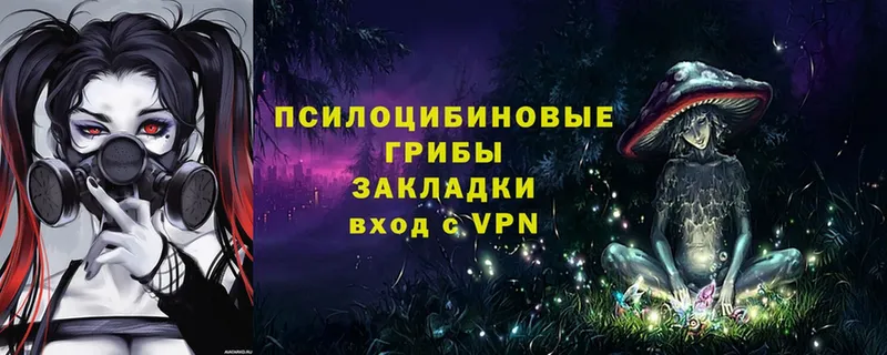 Галлюциногенные грибы мухоморы  наркошоп  Конаково 